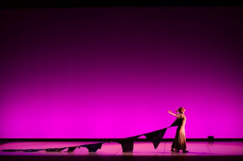 Memorias de Trapo - LaMona Danza